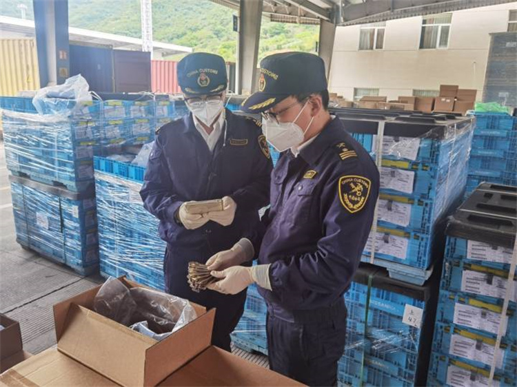 Menggalakkan perdagangan asing untuk memastikan kestabilan dan meningkatkan kualiti Kastam Ningbo mengeluarkan 20 langkah 