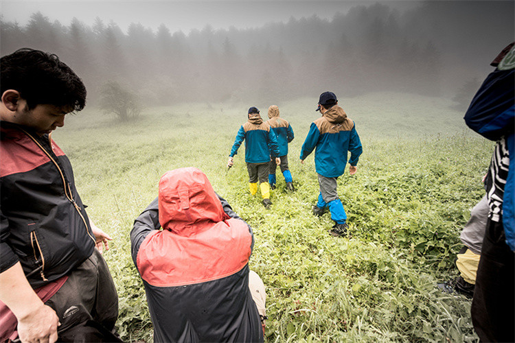 Apakah SURVIVA Wilderness Survival?